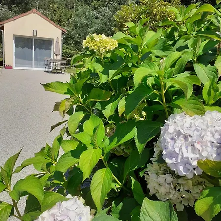 Apartmán Les Hortensias *